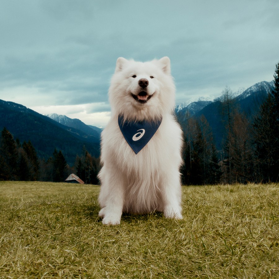 ASICS Appoints Its First Ever Canine Ambassador: Meet “Felix”